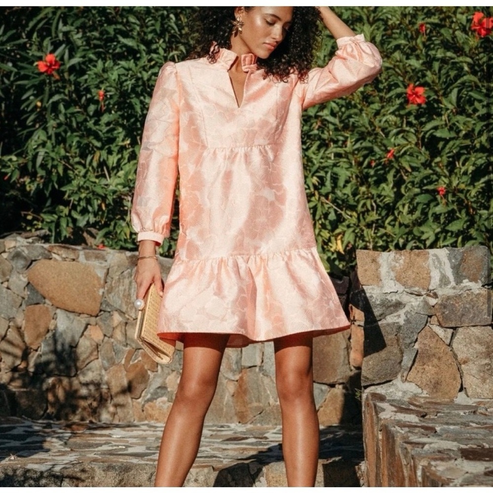 Tuckernuck Bellini Fil Coupe Palmerston Peach/Pink Dress Size Medium NWT - Picture 7 of 7